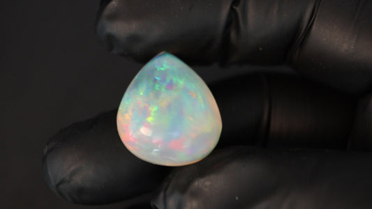33.80 Cts