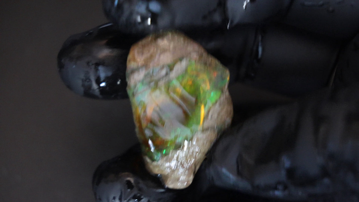 11 gm Ethiopian rough opal