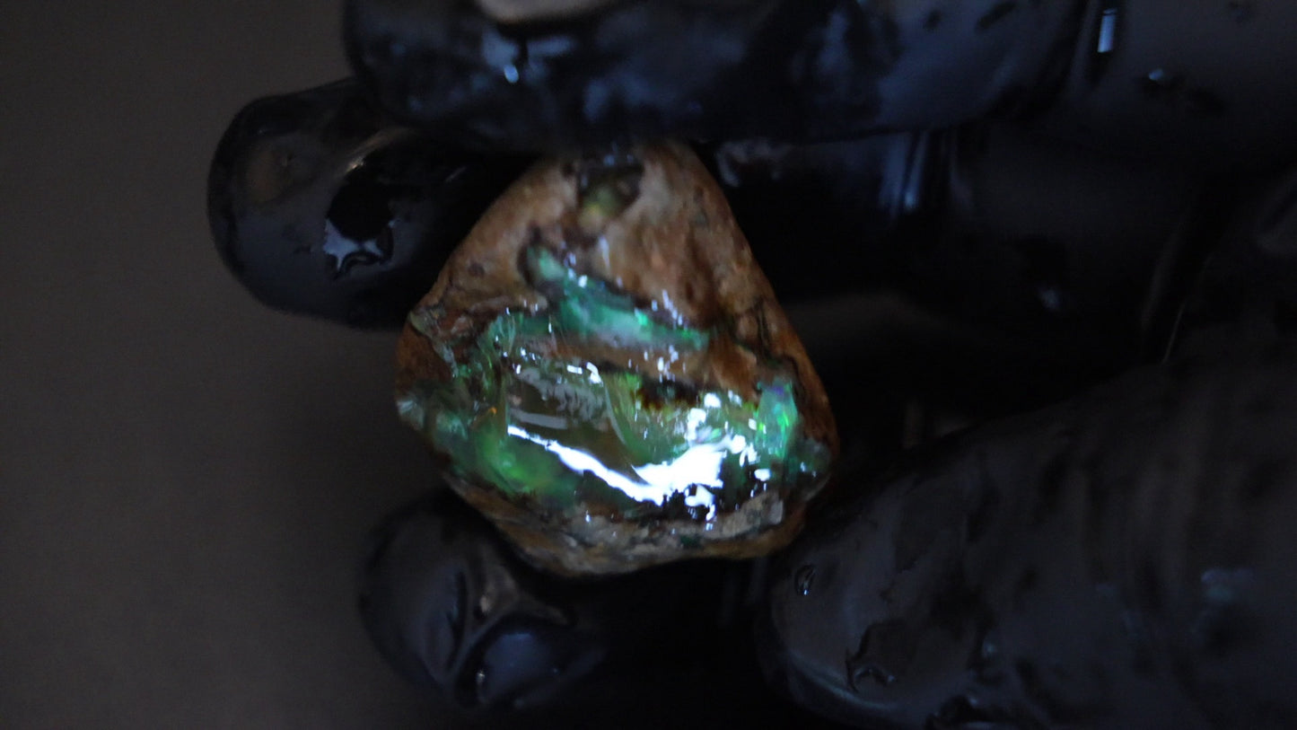 13 gm Ethiopian rough opal
