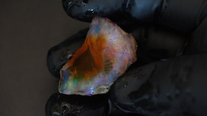 14 gm Ethiopian rough opal