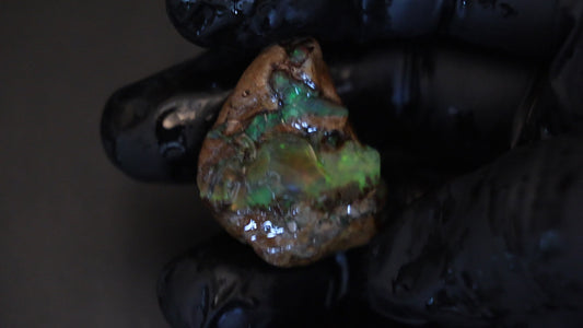 13 gm Ethiopian rough opal